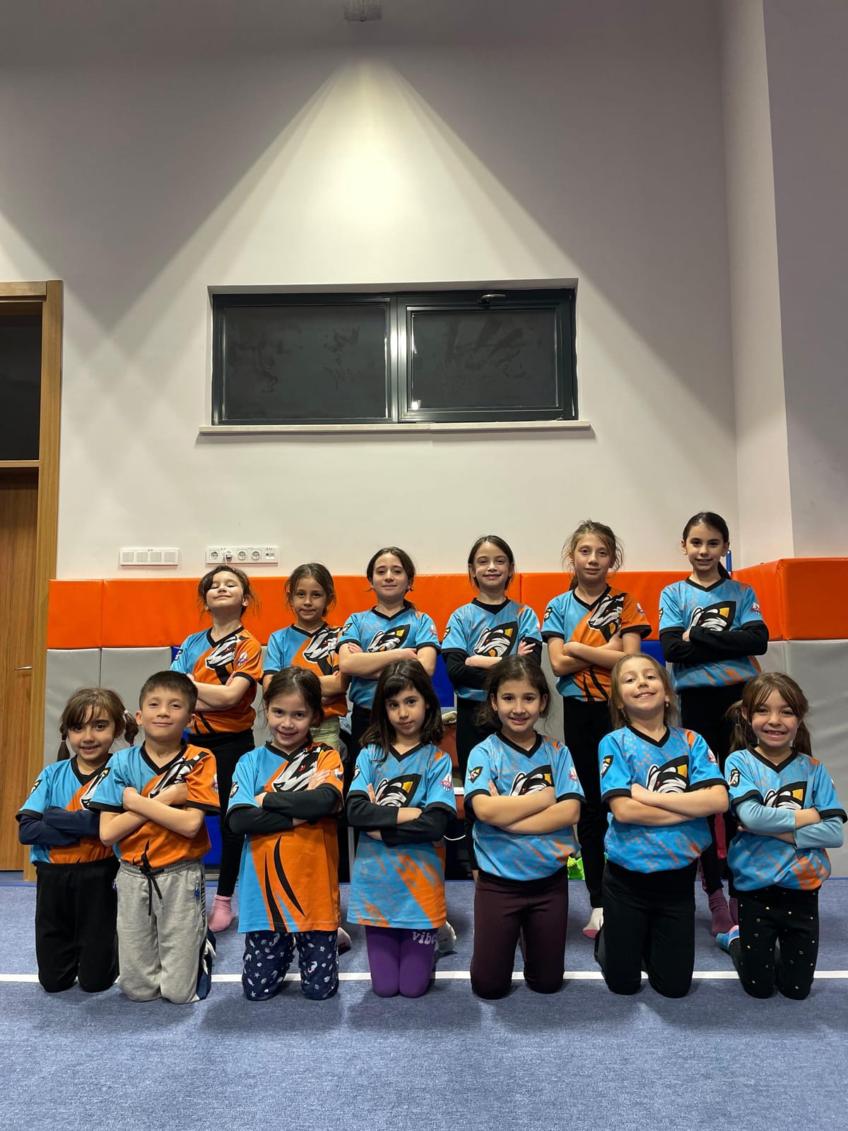 DPÜ Jimnastik Takım